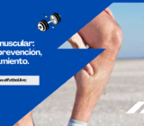 Dolor muscular: causas, prevención, tratamiento.